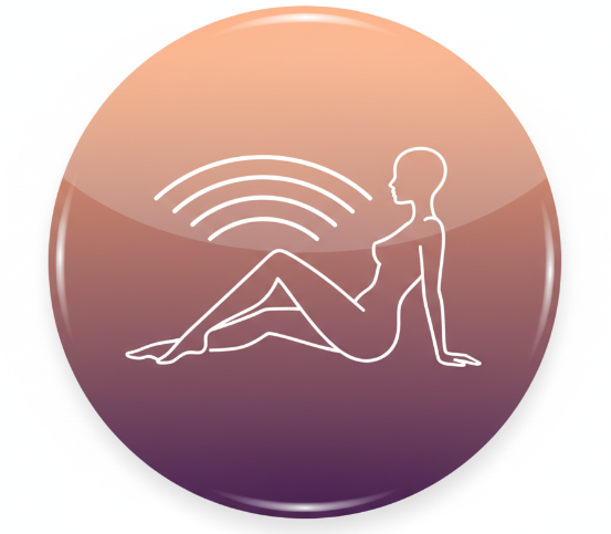 PEMF & EMF Protection Devices