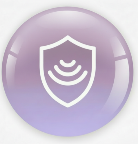 PEMF & EMF Protection